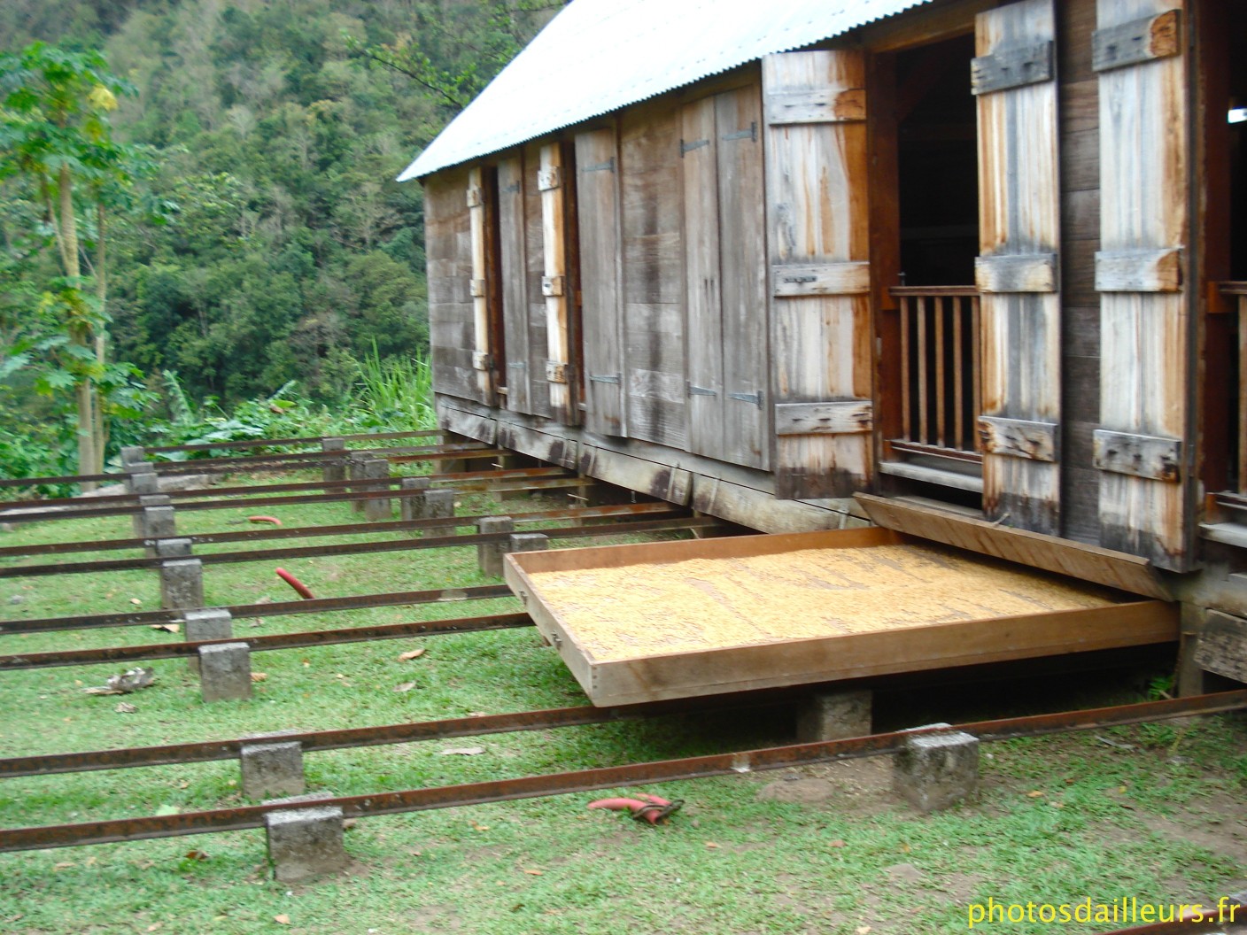 le boucan à la Grivelière Vieux Habitants Guadeloupe